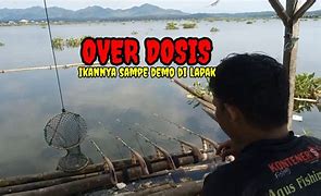 Memancing Ikan Demo